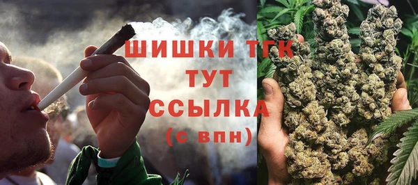 mix Козельск